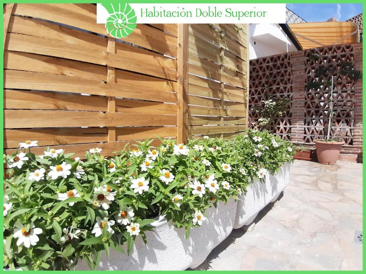 Biznaga Hols (Adults Only) Apartment Benalmadena Spain